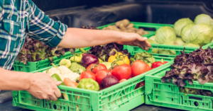 Entregador carrega o carro com caixas de alimentos orgânicos, garantindo a entrega segura dos produtos frescos até a casa dos clientes
