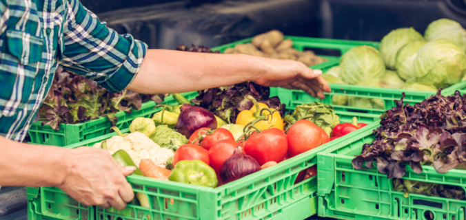 Entregador carrega o carro com caixas de alimentos orgânicos, garantindo a entrega segura dos produtos frescos até a casa dos clientes