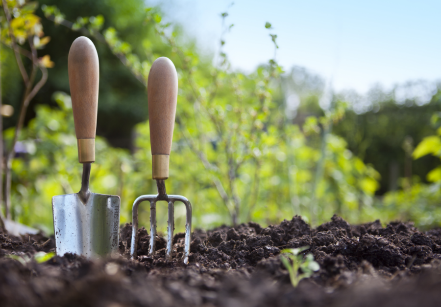 "Ferramentas de jardinagem prontas para o cultivo orgânico