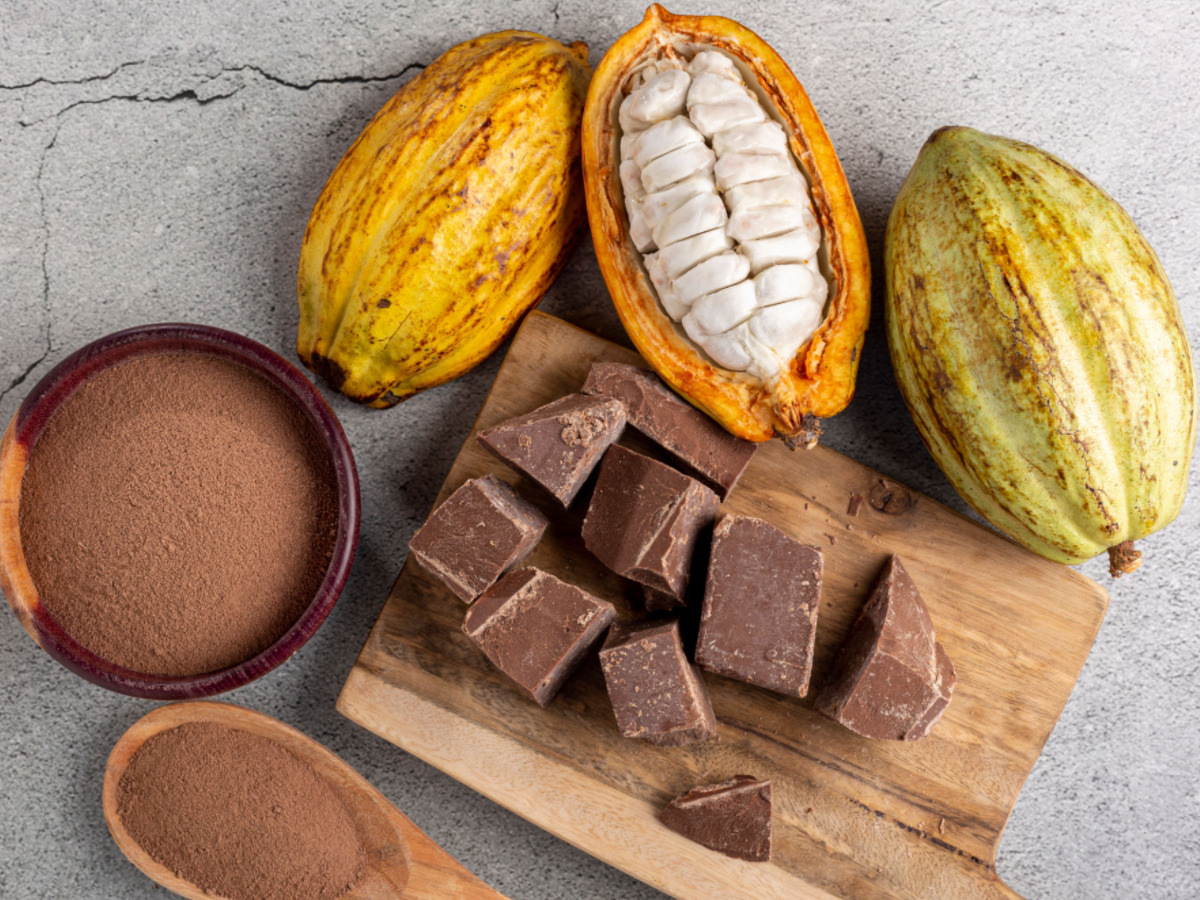 O Delicioso Encontro entre Cacau e Chocolate Biodinâmico Título: Cacau e Chocolate Biodinâmico: Uma Conexão Natural