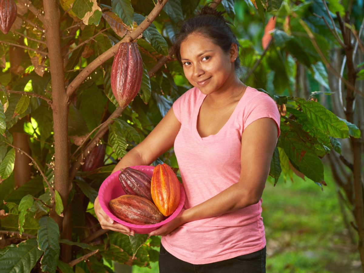  Produtora de Cacau Orgânico: Cultivando a Sustentabilidade